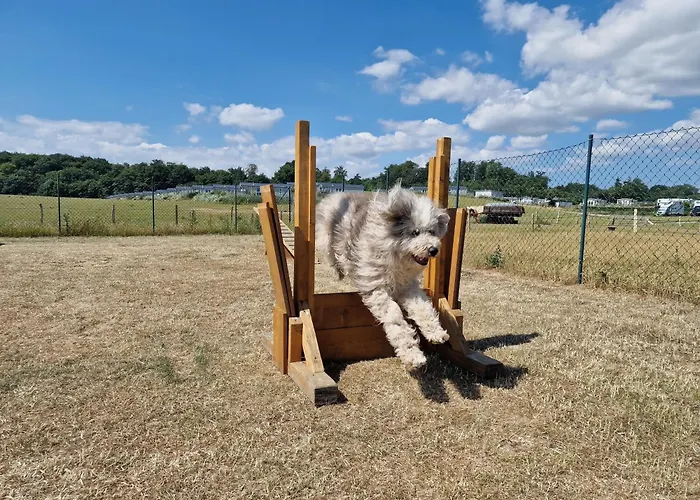 Ostseeferienpark Walkyrien - Bootsmann 08 *